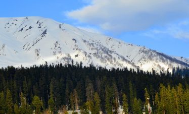 KASHMIR 5 DAYS TOUR PACKAGE