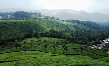 GRACEFUL KERALA TOUR PACKAGE